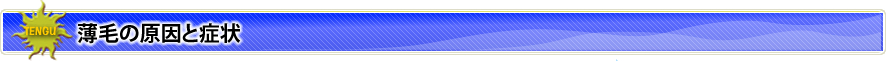 薄毛の原因と症状