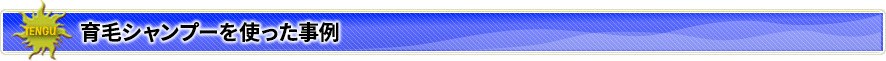 育毛シャンプーを使った事例