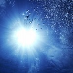 スーパー育毛シャンプー「ムーム」の実績